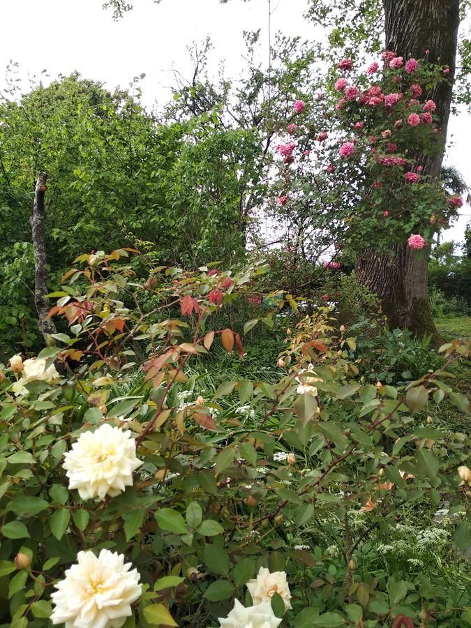 Дома для отпуска House on Magnolii 1 Батуми-22