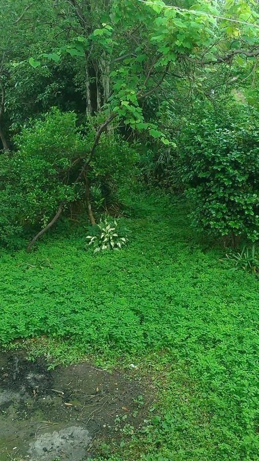 Дома для отпуска House on Magnolii 1 Батуми-37