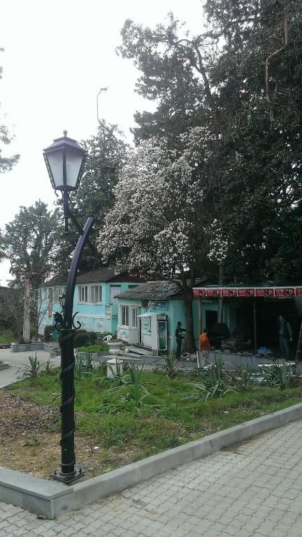 Дома для отпуска House on Magnolii 1 Батуми-40
