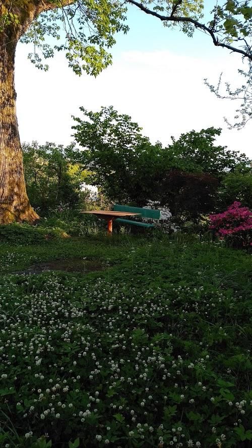 Дома для отпуска House on Magnolii 1 Батуми-8