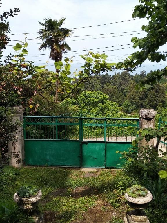 Дома для отпуска House on Magnolii 1 Батуми-64