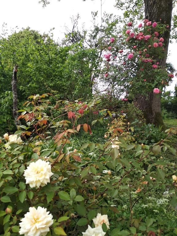 Дома для отпуска House on Magnolii 1 Батуми-66