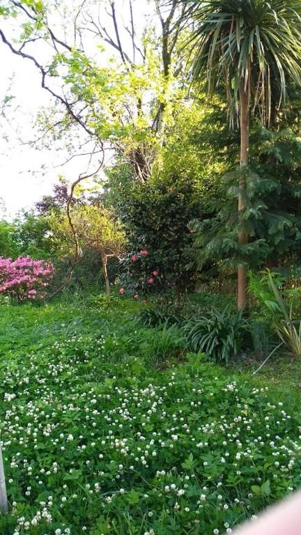 Дома для отпуска House on Magnolii 1 Батуми-68