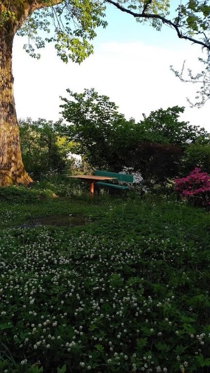 Дома для отпуска House on Magnolii 1 Батуми-72