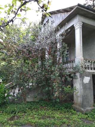 Дома для отпуска House on Magnolii 1 Батуми Дом с 2 спальнями-12