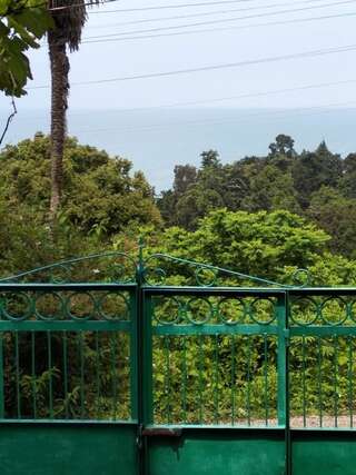 Дома для отпуска House on Magnolii 1 Батуми Дом с 2 спальнями-14