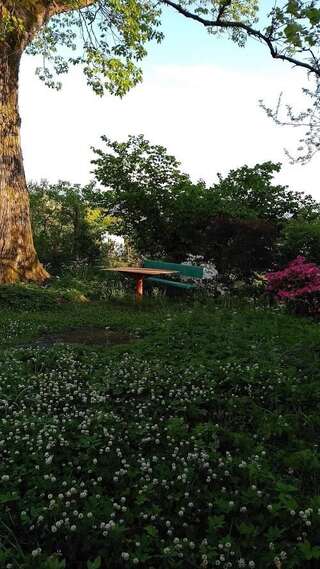 Дома для отпуска House on Magnolii 1 Батуми Дом с 2 спальнями-5