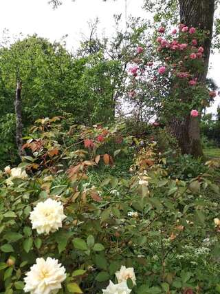 Дома для отпуска House on Magnolii 1 Батуми Дом с 2 спальнями-54