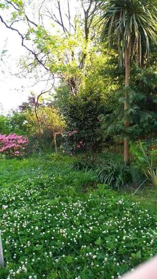 Дома для отпуска House on Magnolii 1 Батуми Дом с 2 спальнями-65