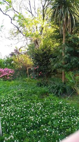 Дома для отпуска House on Magnolii 1 Батуми Дом с 2 спальнями-9