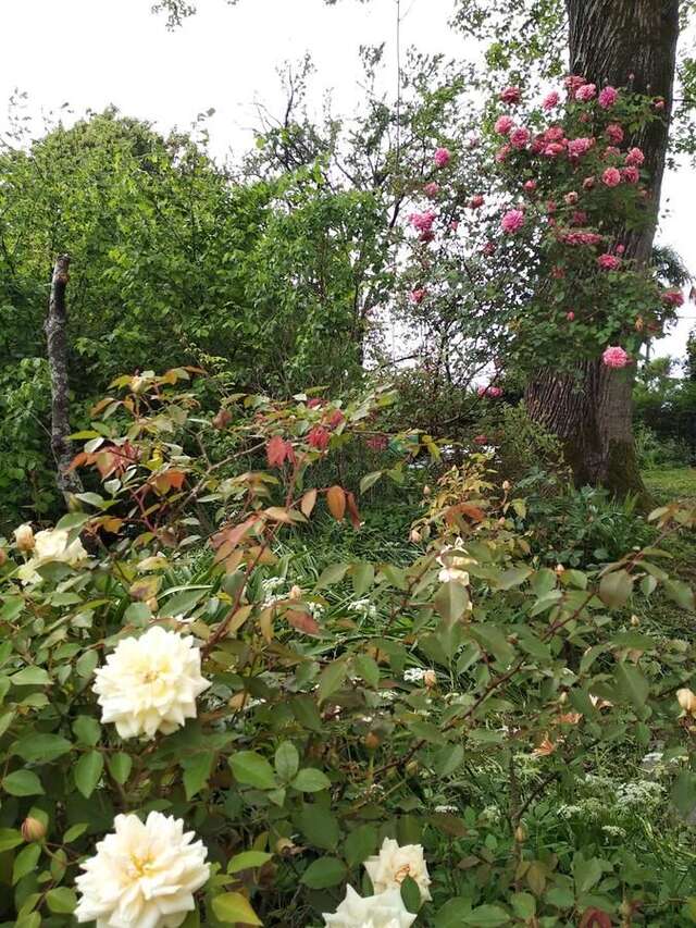 Дома для отпуска House on Magnolii 1 Батуми-13