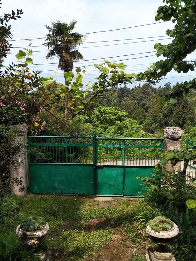 Дома для отпуска House on Magnolii 1 Батуми-15