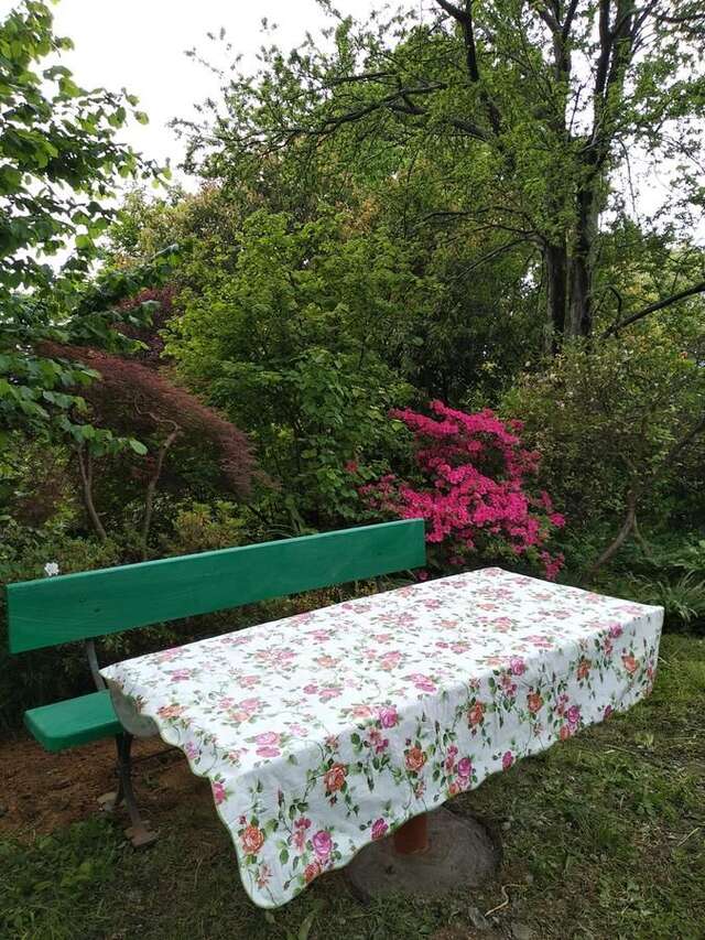 Дома для отпуска House on Magnolii 1 Батуми-20