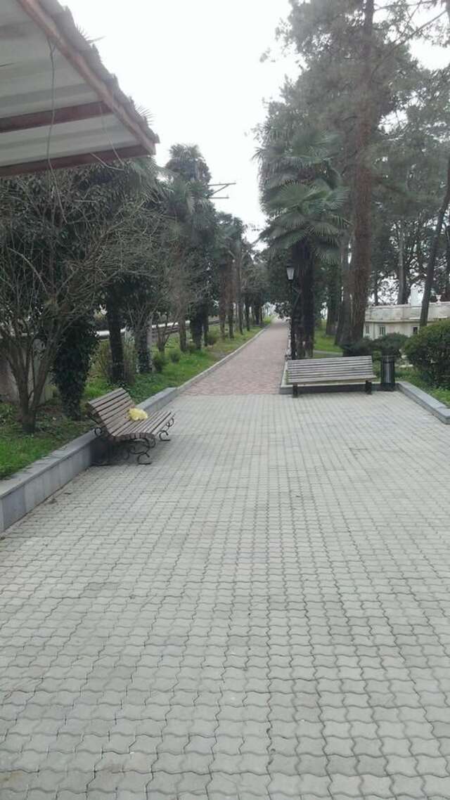 Дома для отпуска House on Magnolii 1 Батуми-35