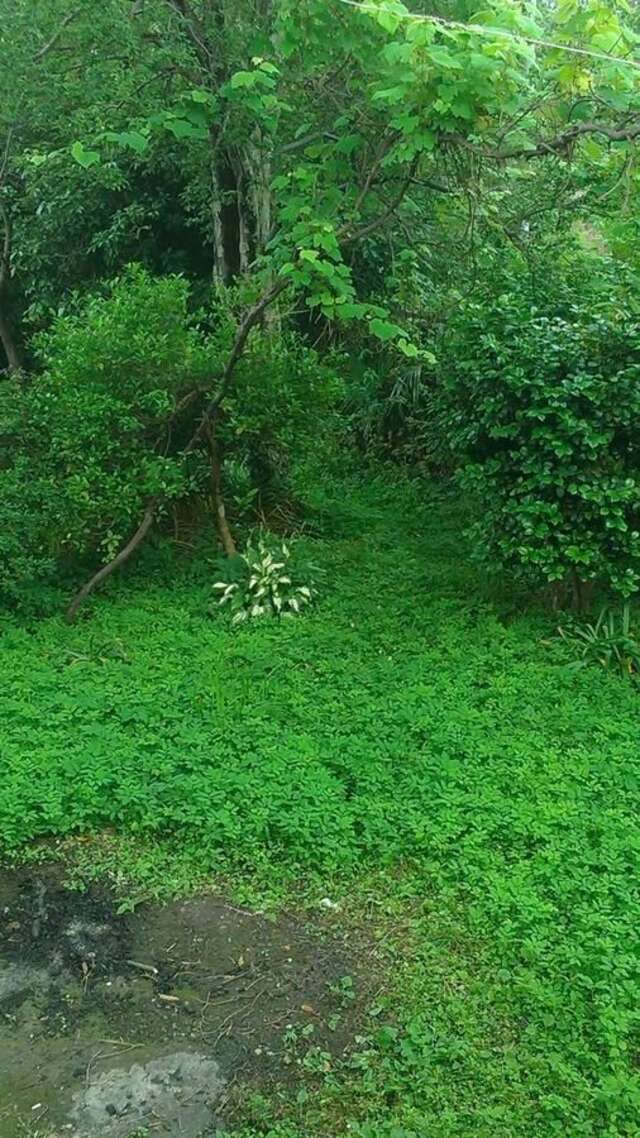 Дома для отпуска House on Magnolii 1 Батуми-36