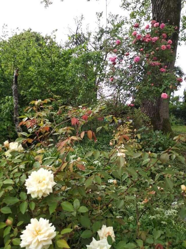 Дома для отпуска House on Magnolii 1 Батуми-56