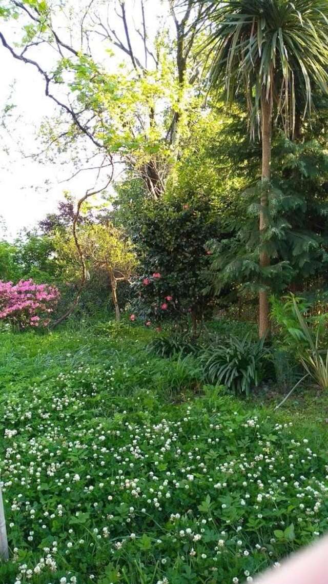 Дома для отпуска House on Magnolii 1 Батуми-11